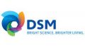 Logo DSM.jpeg